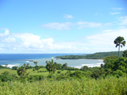 Internationl Real Estate Investing