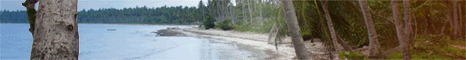 Take a Real Estate Investing Tour of Dominican Republic